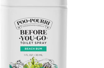 Top Pet Gear of 2025: Comfort, Care & Travel Essentials Reviewed