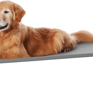 How Our Large Dogs Stay Cool and Comfy on Elevated Beds