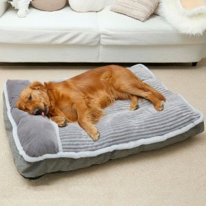 How Our Jumbo Dog Bed Transformed Cozy Crate Comfort