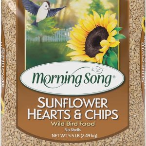 How We Cut Backyard Birdseed Mess with Morning Song’s Shell-Free Mix