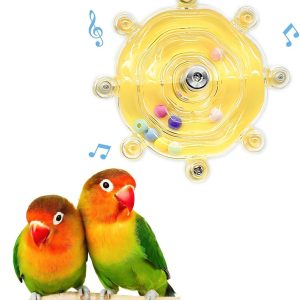 How Our Feathered Friends Stay Active with This Colorful Spinner