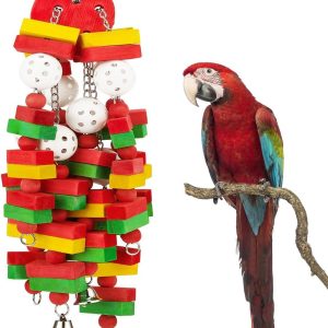 How Our Parrots Stayed Happier and Healthier with MEWTOGO Toys