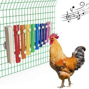 How We Added Joy and Activity to Our Coop with a Chicken Xylophone