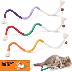 How Our Kittens Stay Happy and Healthy with Potaroma Chew Ropes