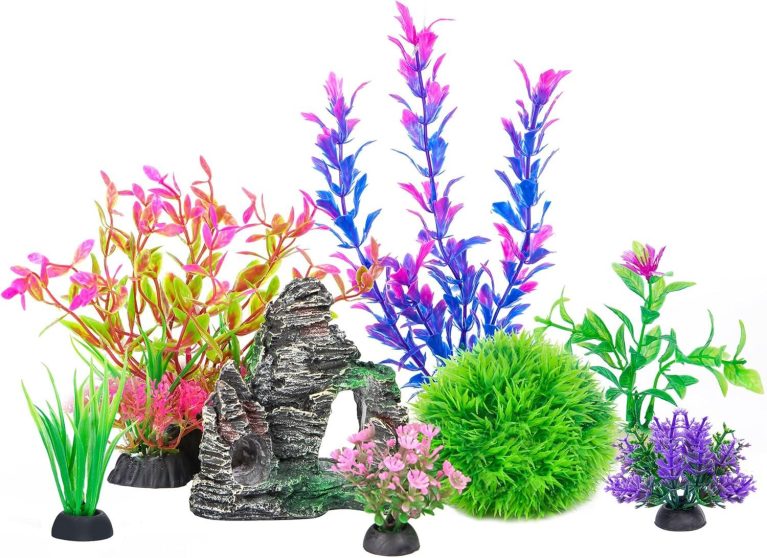 How We Transformed Our Tank Into a Lively Underwater Haven