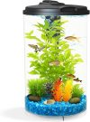 How Our 3-Gallon Aquarium Brings Color and Clarity to Life