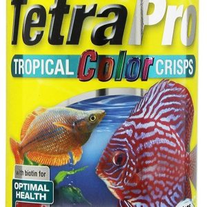 How We Boosted Our Fish’s Colors and Kept Aquarium Water Crystal Clear