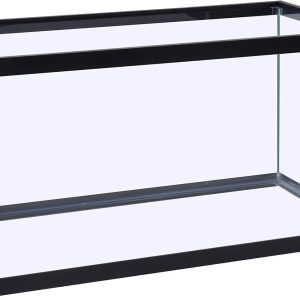 How Our 29-Gallon Glass Aquarium Transformed Fishkeeping Fun