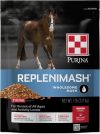 How Our Horses Found Better Digestion and Hydration with Purina Mash