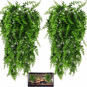 How We Created a Lush, Safe Habitat for Our Reptiles with HERCOCCI