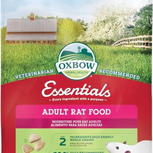 How We Found the Perfect Balanced Diet for Our Adult Rats