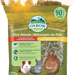 Why Our Small Pets Thrive on This Premium Hay Blend