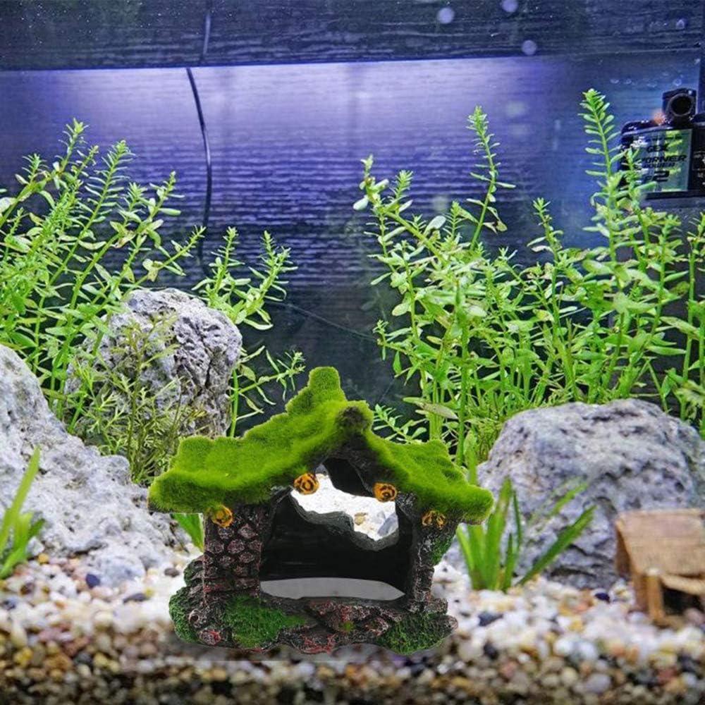 How our Betta Fish Found calm in This Cozy Resin ‍Hideout