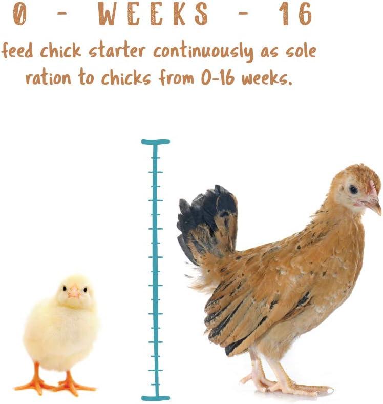 How Our Flock ⁣Thrived​ on Nutrient-Rich Starter Feed Crumbles