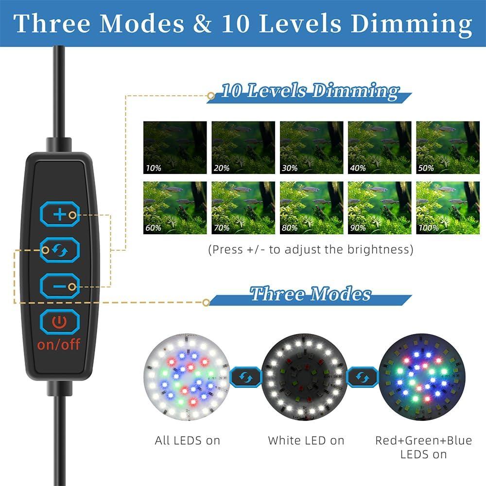 How Our Tiny USB Aquarium Light Transformed Small Tank Views