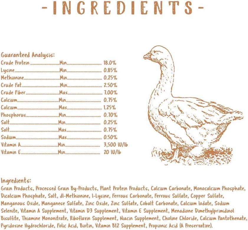 How Our Flock ‍Thrived ‍on Nutrient-Rich Starter feed Crumbles