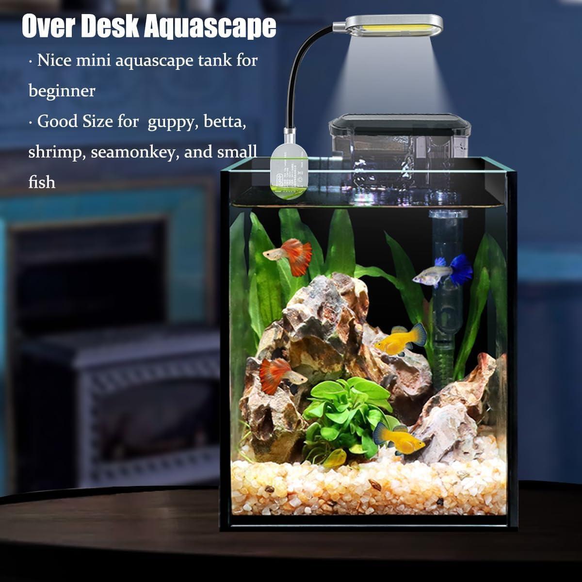 How Our ⁤Tiny Aquascape Dream Came Alive with This Nano ​Tank