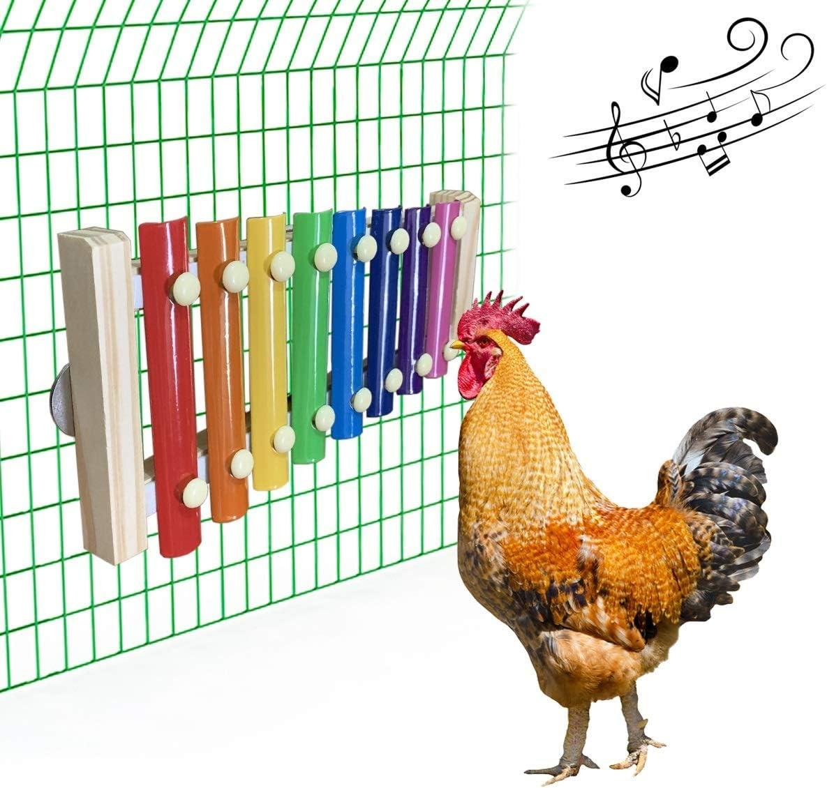 How Our Parrots Stayed Happier⁣ and ⁣Healthier with MEWTOGO Toys