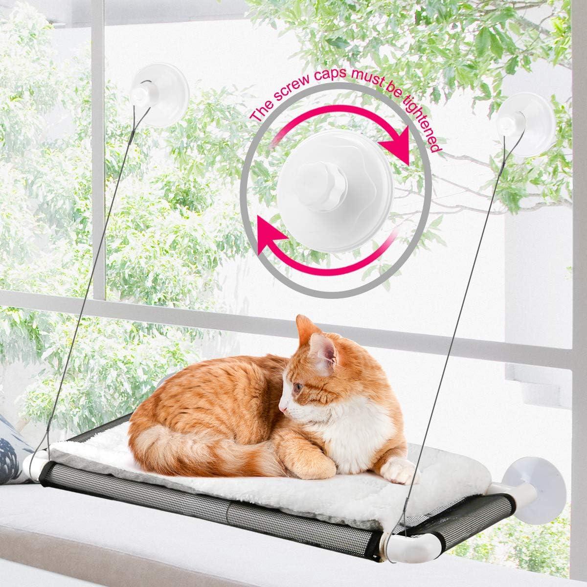 Top Pet Gear of 2025: Comfort, Care & Travel Essentials Reviewed