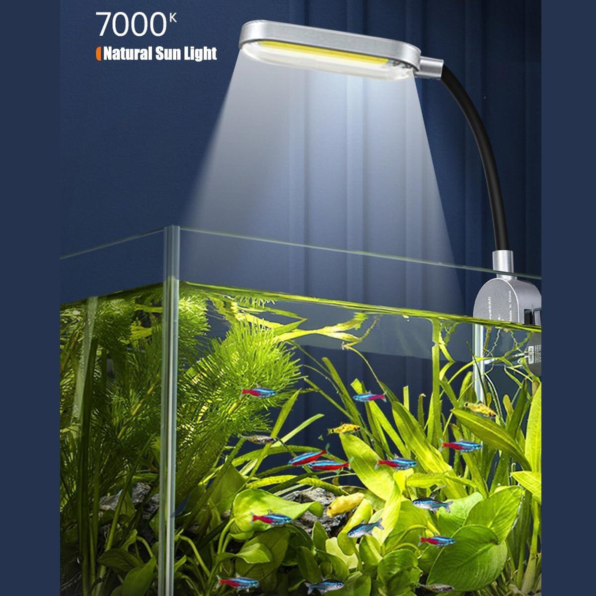 How Our Tiny Aquascape Dream Came Alive with This Nano Tank