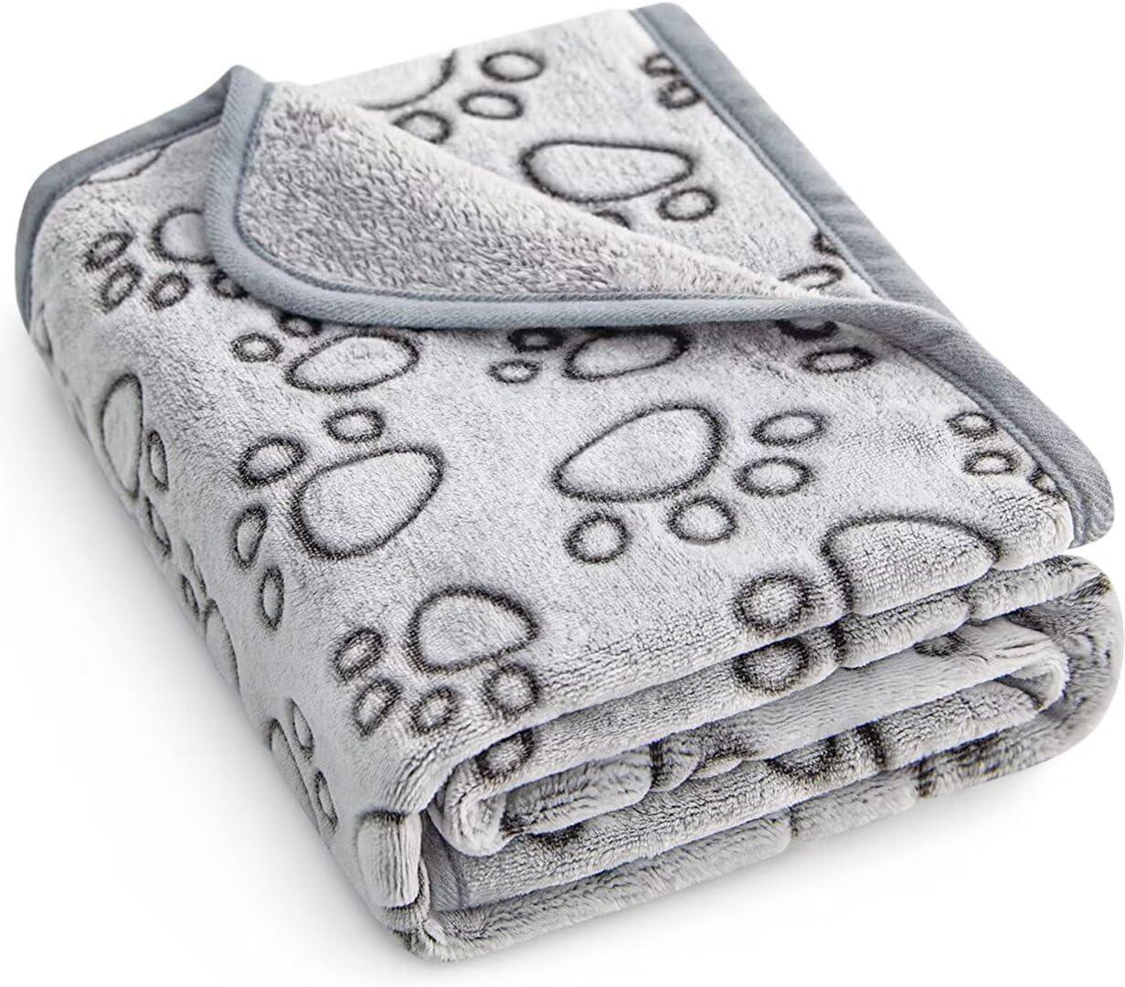 Top Pet Gear⁢ of 2025: Comfort, Care & Travel Essentials‌ Reviewed