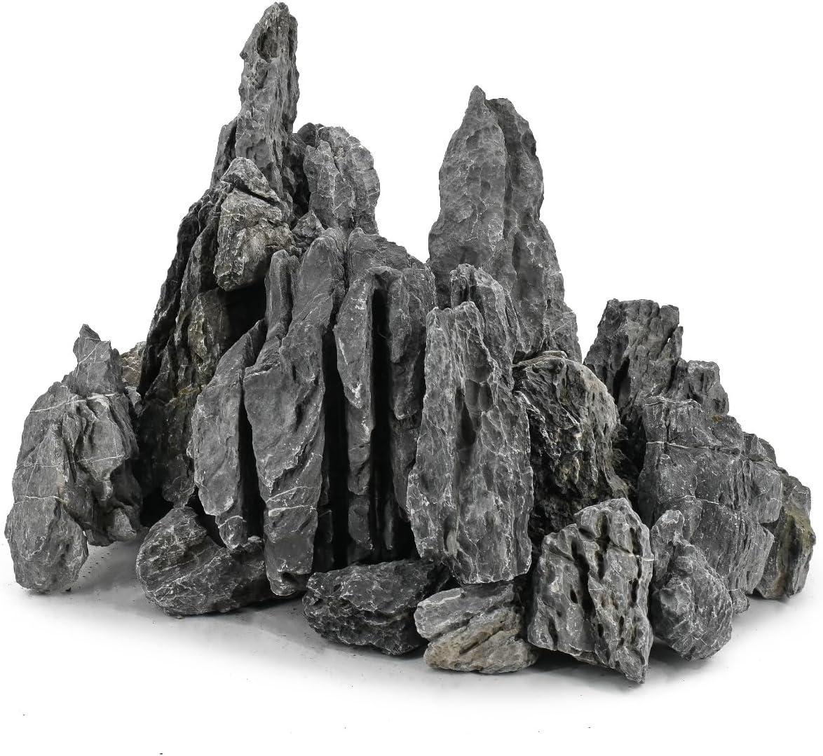 How These natural Rocks ‌Transformed Our Aquarium’s ecosystem