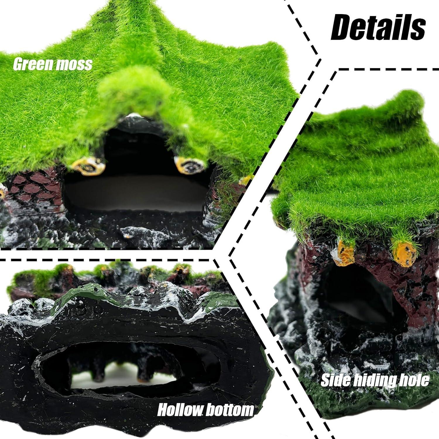 How Our betta Fish Found Calm ‌in This Cozy Resin Hideout
