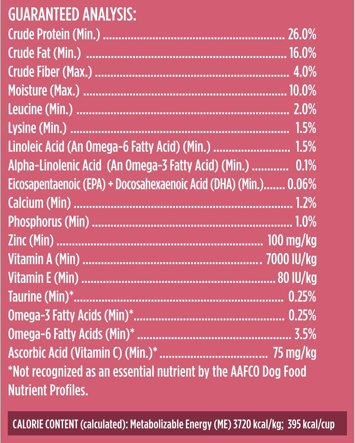 Why Our Small Dogs Thrive on This‌ Real Chicken Recipe