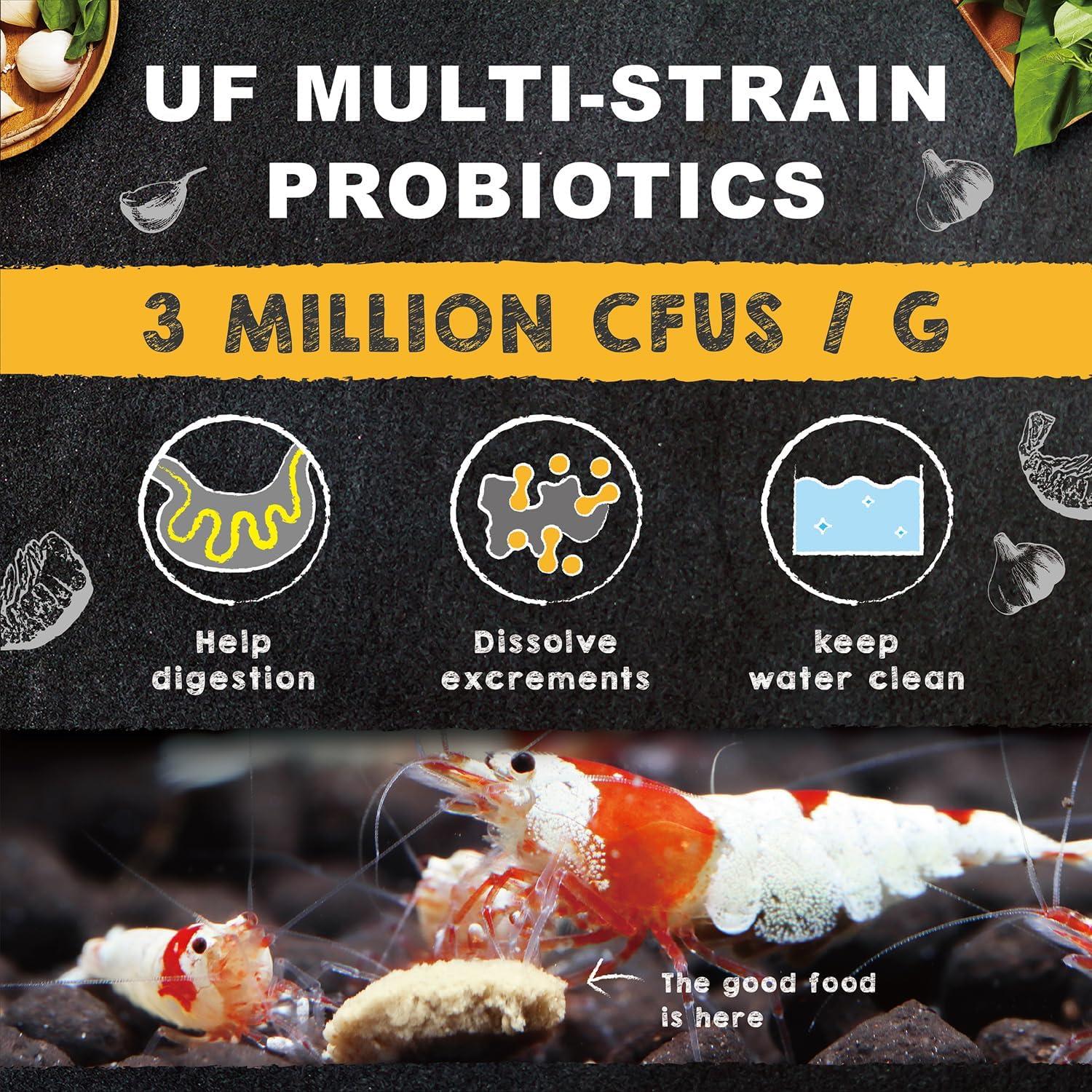 The‌ Staple Shrimp Food That ⁣Boosted Our Tank’s Health and Color