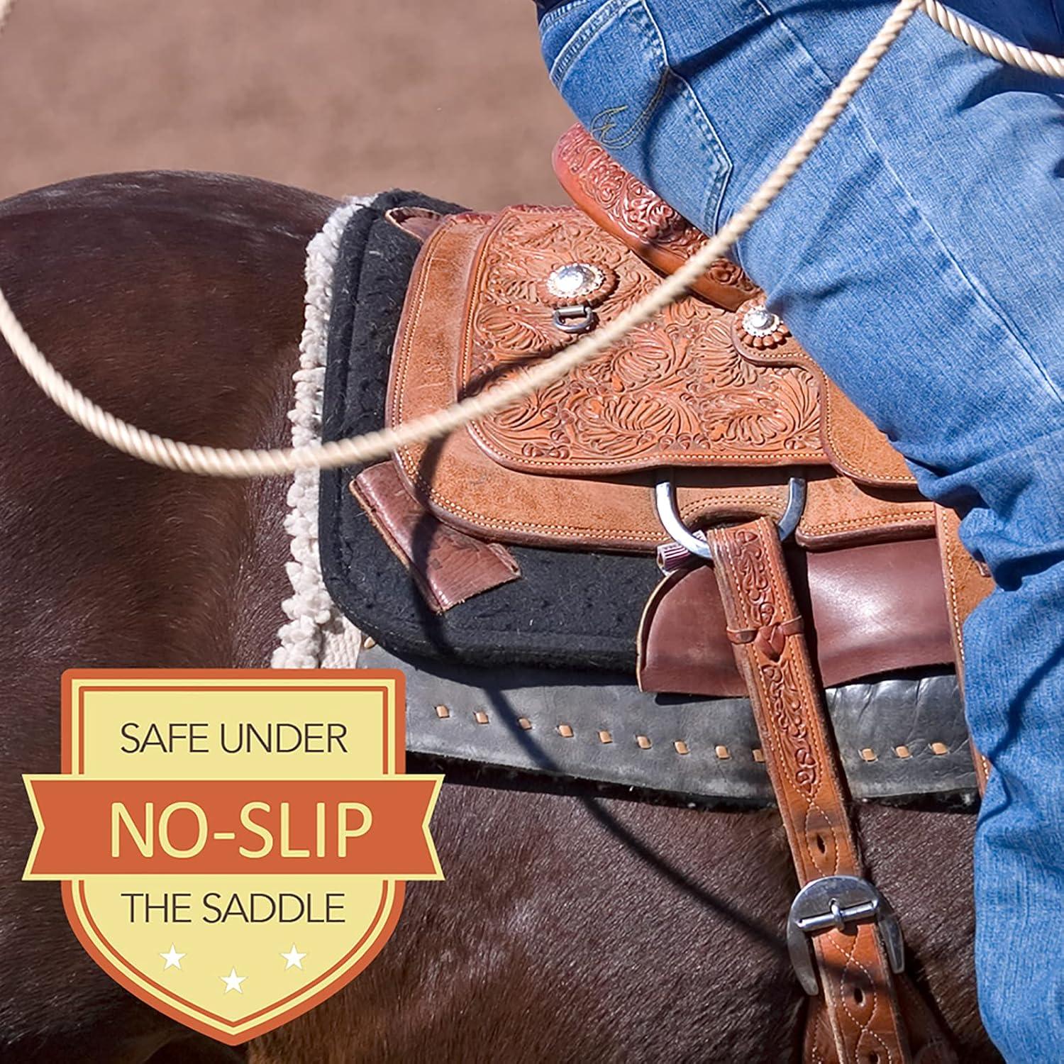 How Our Horses stay⁣ Glossy and Protected Under the ⁤Sun