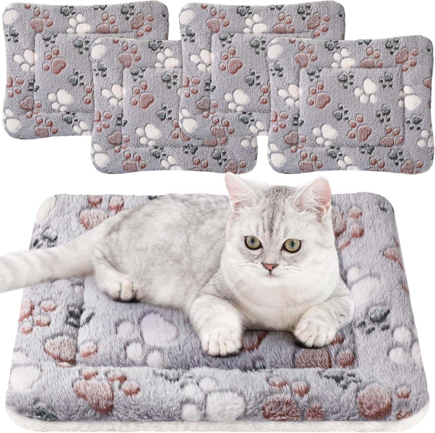 How Our Pets Found Comfort in ‍These Cozy,Cute Small Beds