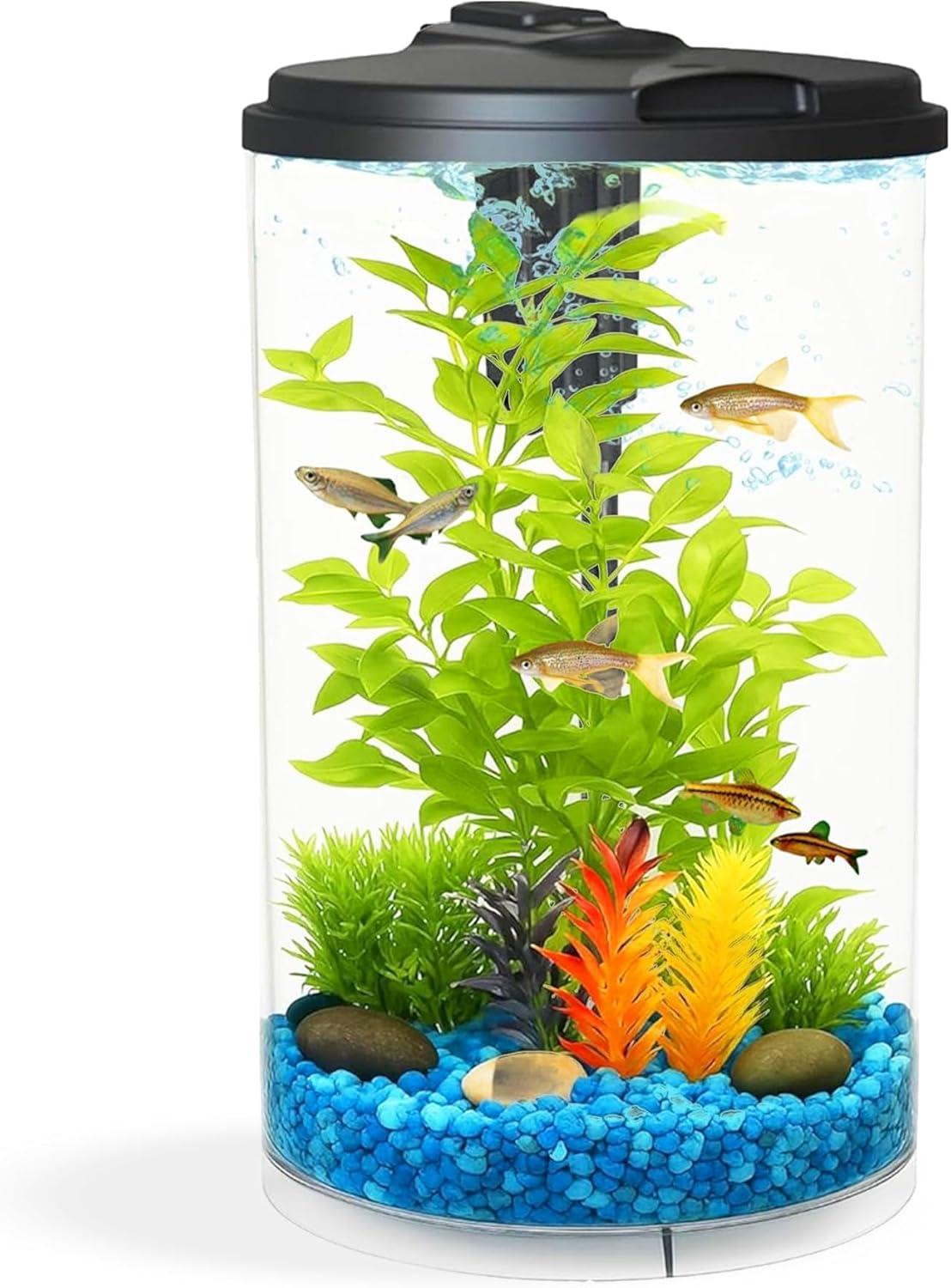 How⁢ Our 3-Gallon Aquarium Brings Color and Clarity to Life