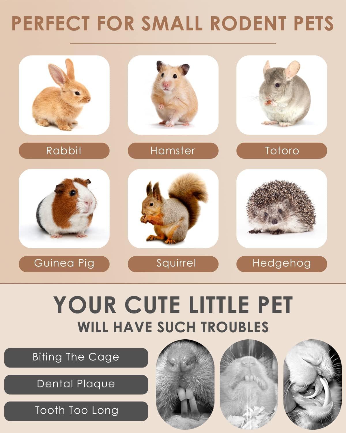 How We Keep​ Our⁣ Small Pets Happy and Healthy with Natural ‍Chews