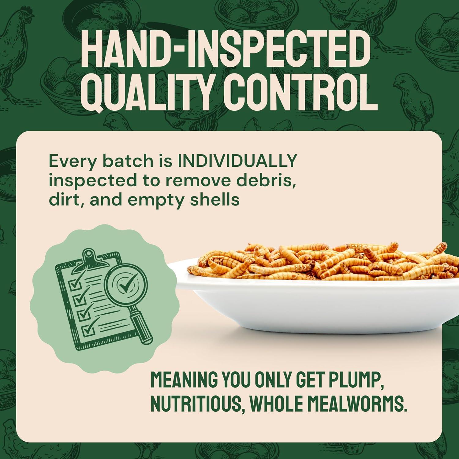 Fueling ​Our Flock Naturally: High-Protein mealworms That Deliver
