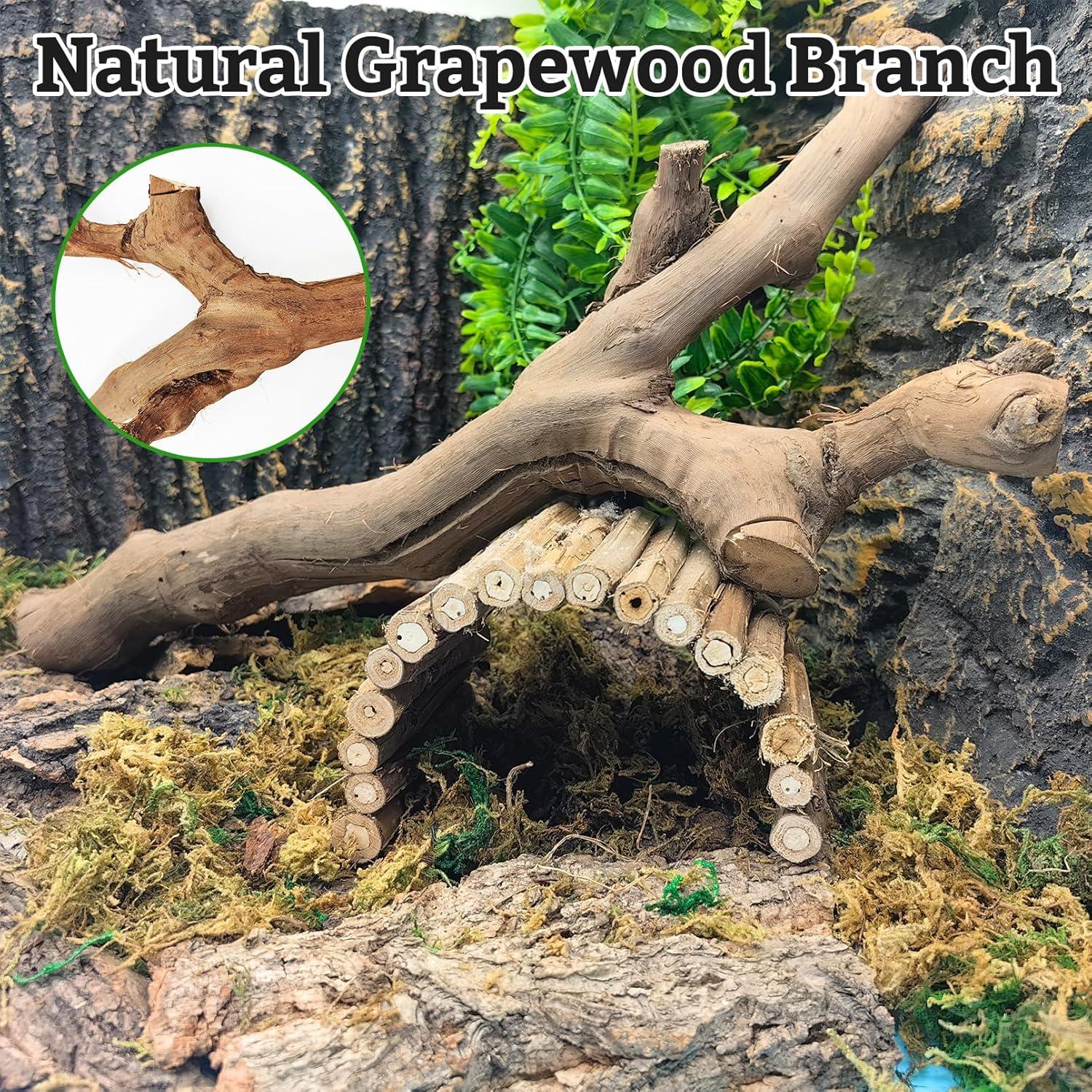 How Our Pets Thrived with These Natural Climbing Branches