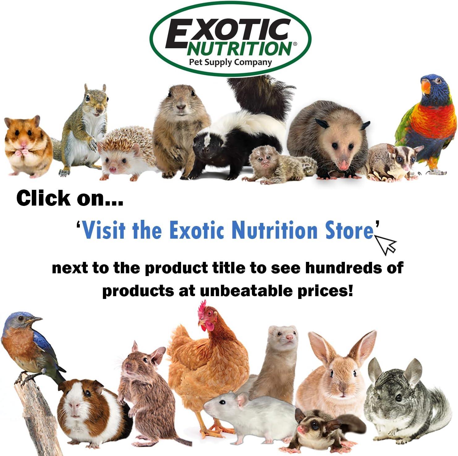 How our Sugar Gliders Thrived ⁣on These Natural Fish Stick Treats