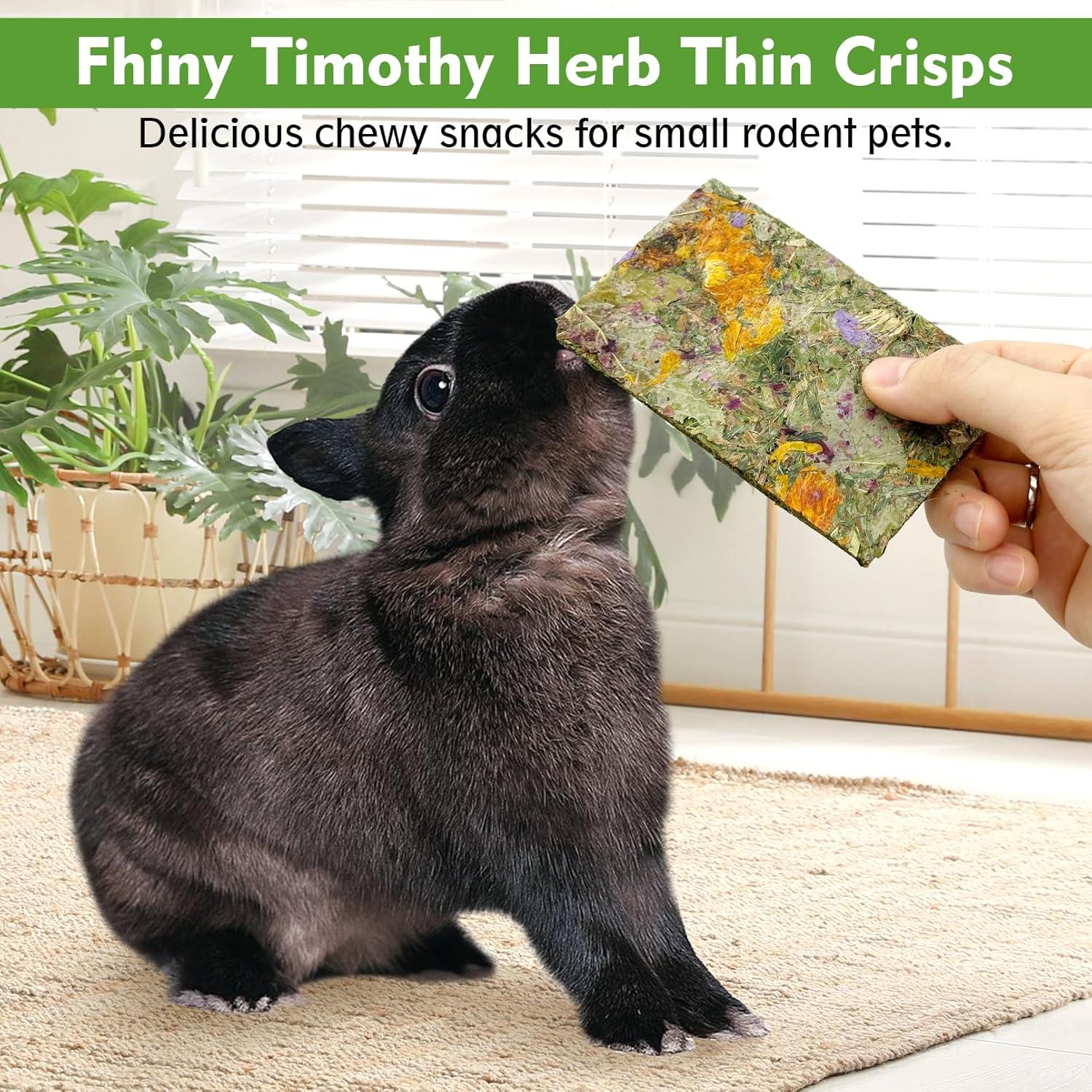 How These Natural Chew Treats Keep Our small Pets Happy and Healthy