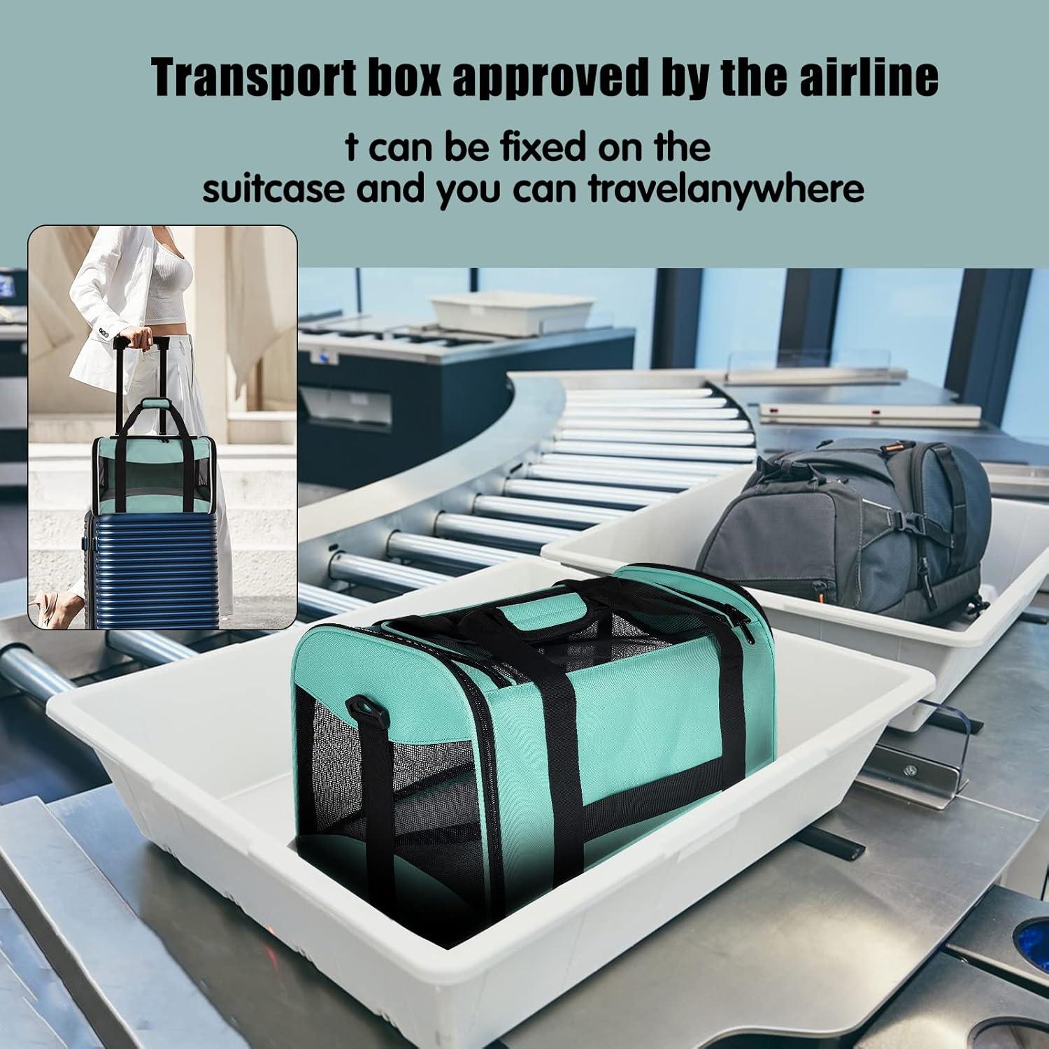 Why We trust This Cozy Carrier for Our Small Traveling Pets
