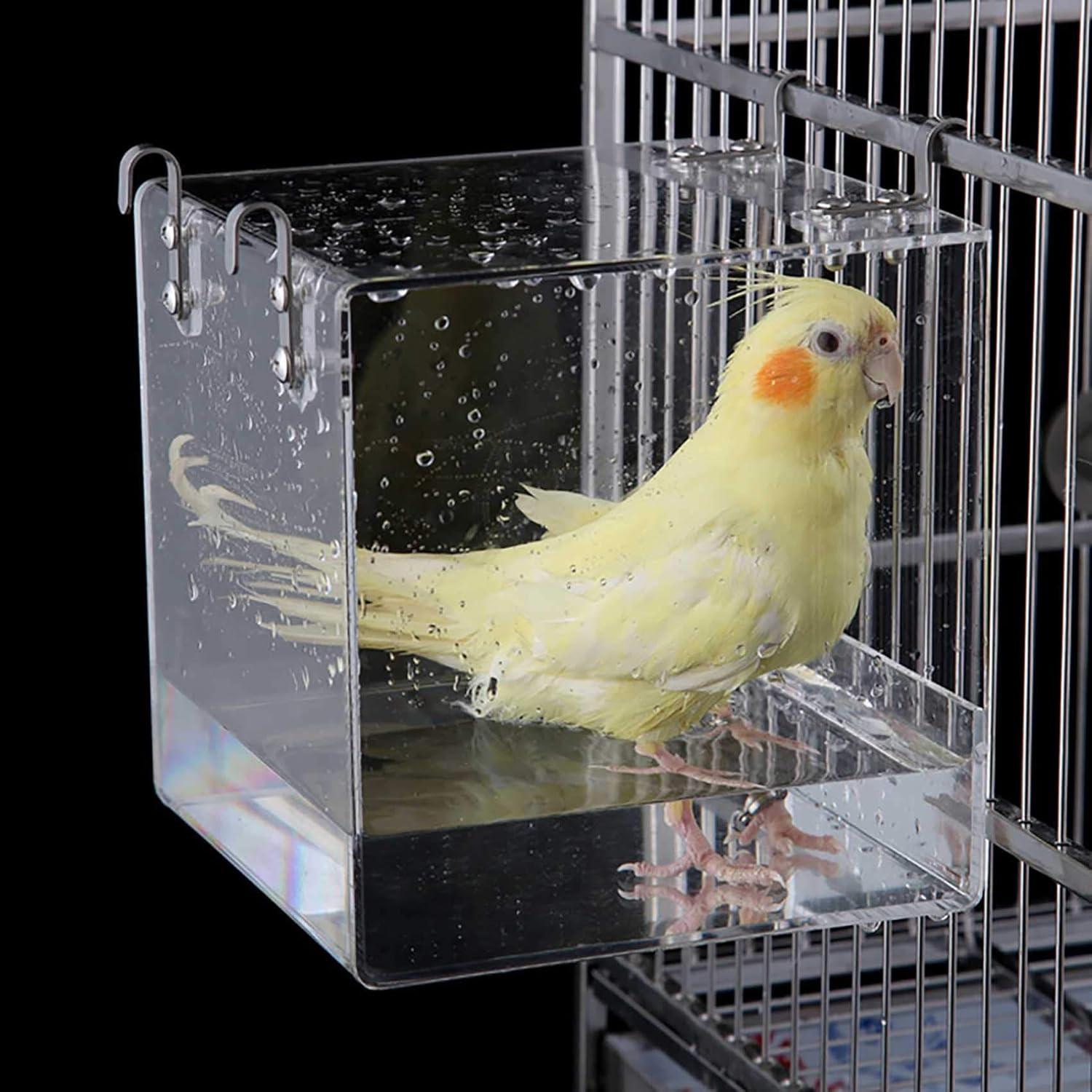 How​ Our⁢ feathered Friends Found Relaxation in​ a Cozy Bird‌ Bath