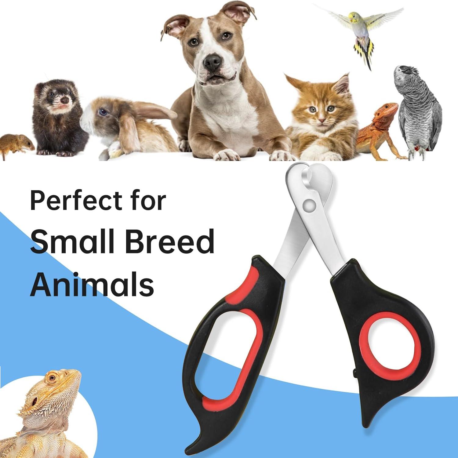 the Perfect Trim: ‌How We Keep Our Bearded⁢ Dragons’ Nails safe & Smooth