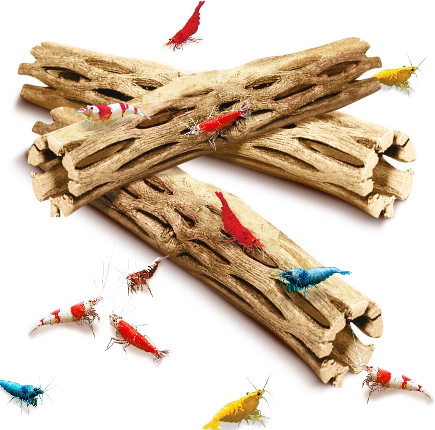 How We Elevated‍ Our Shrimp Tank ⁤With⁢ Natural Climbing Logs