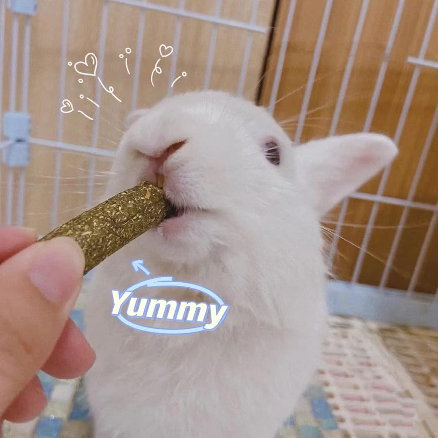 Why Our⁤ Small Pets Thrive with These Natural Chew Toys