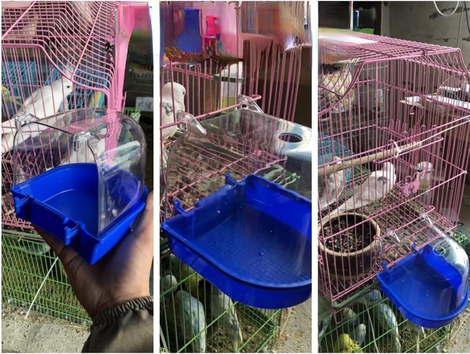 How⁣ Our Birds Enjoy cleaner ⁣Feathers with​ This Easy Bath Solution