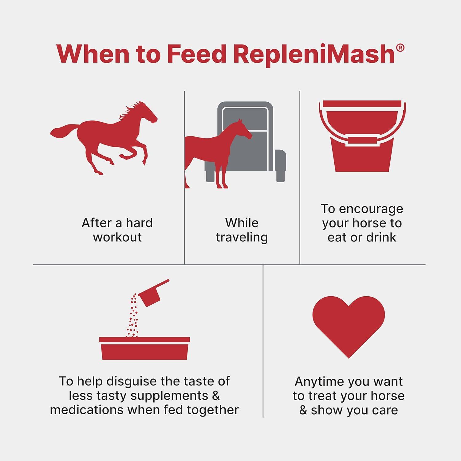 How‍ Our ⁢Horses Found​ Better Digestion and Hydration with purina⁢ Mash
