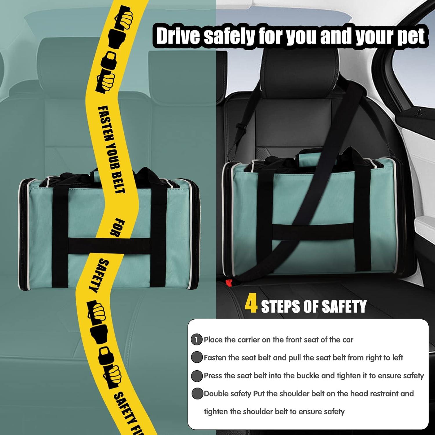 Why We trust This Cozy Carrier for Our Small Traveling Pets