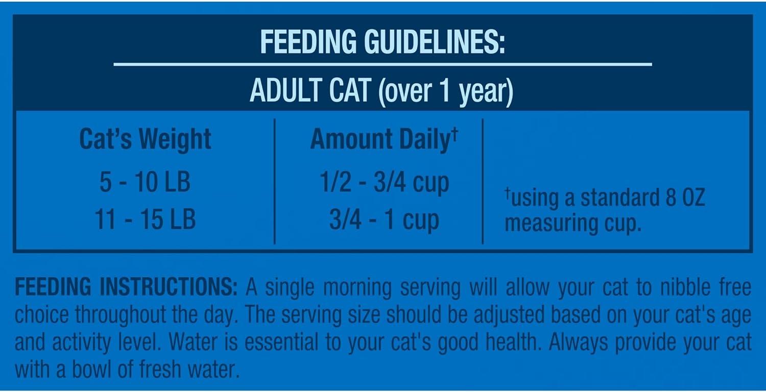 The Balanced Feast Keeping Our Cats ‌Healthy and Happy Daily