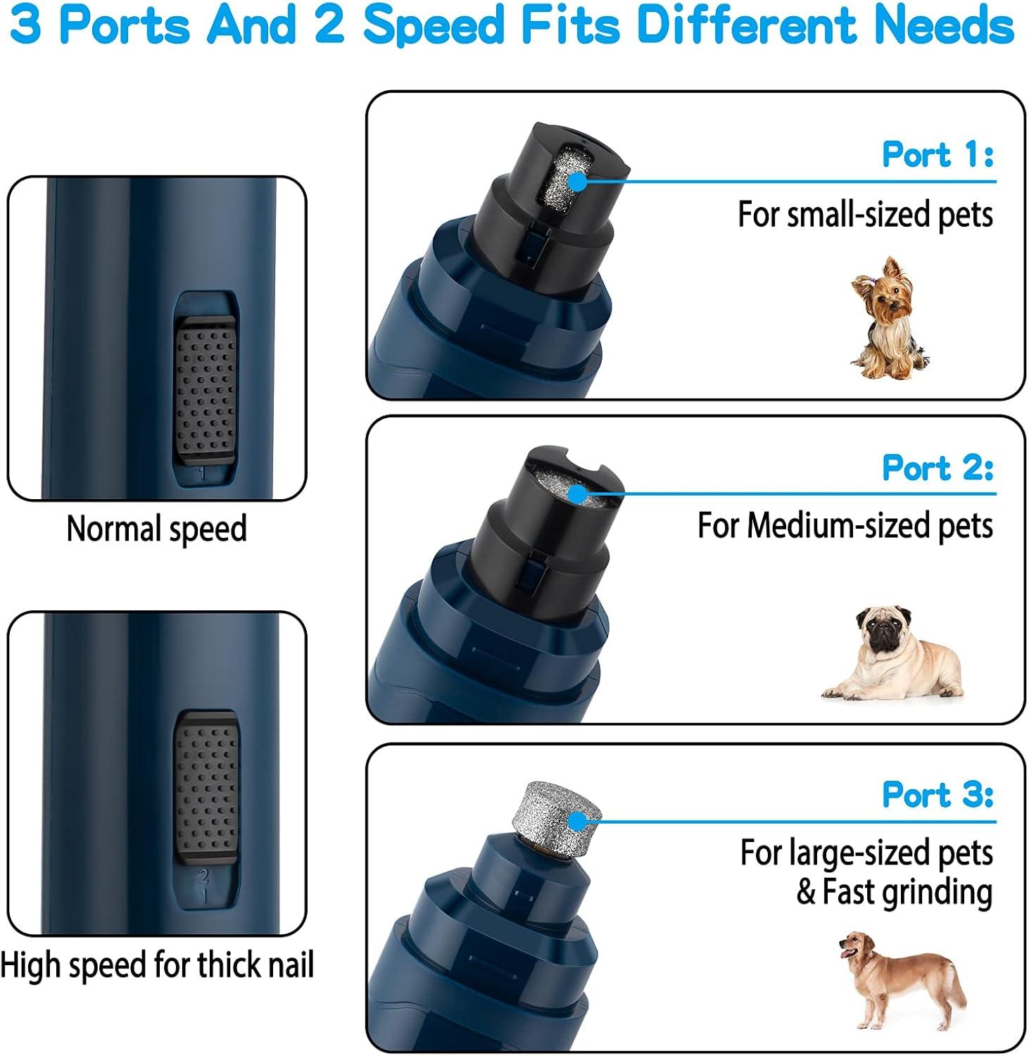 How We ​found Calm: Quiet, Safe Nail Care for Every Pet Paw