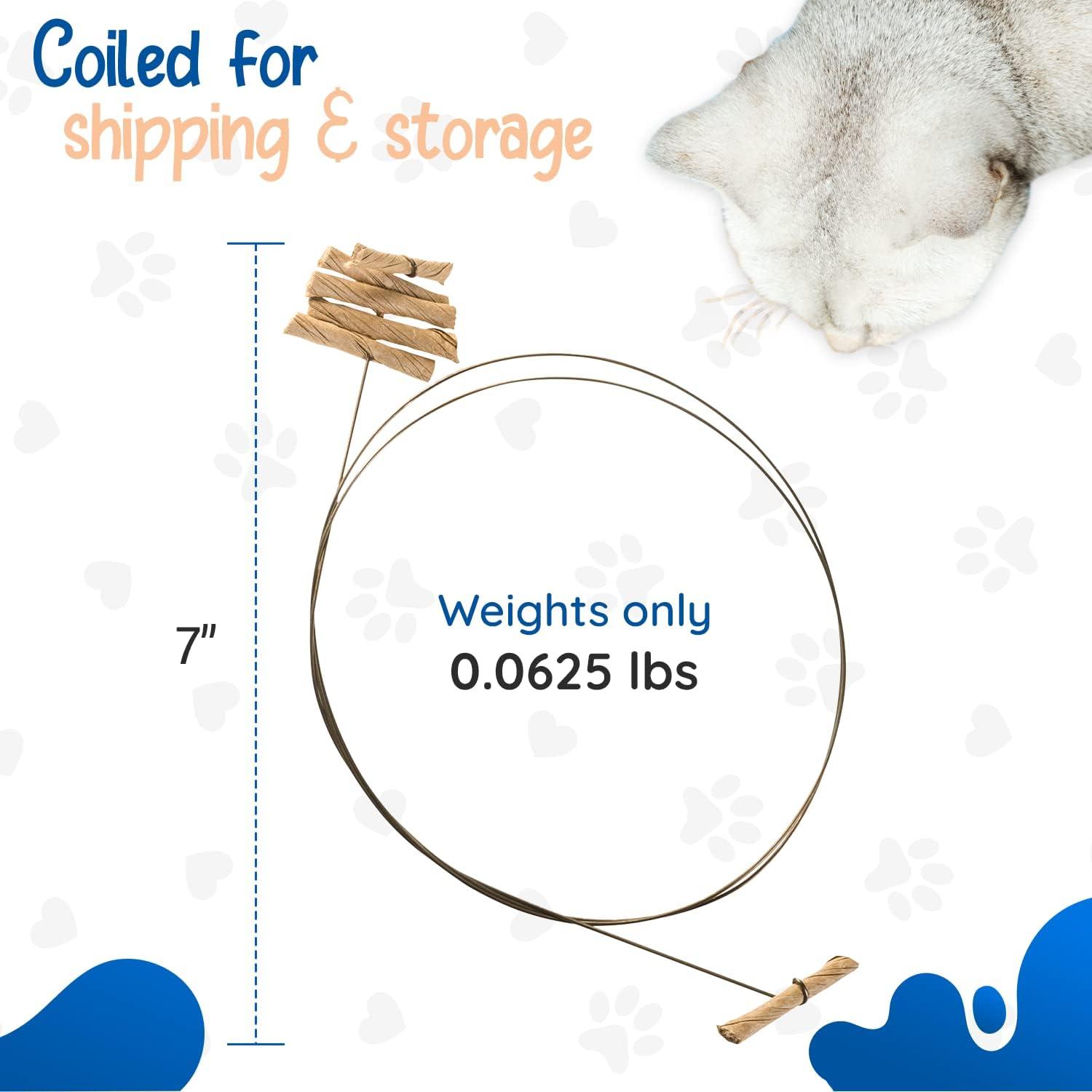 How ​We Rekindled Playtime Joy with This Timeless Cat Toy