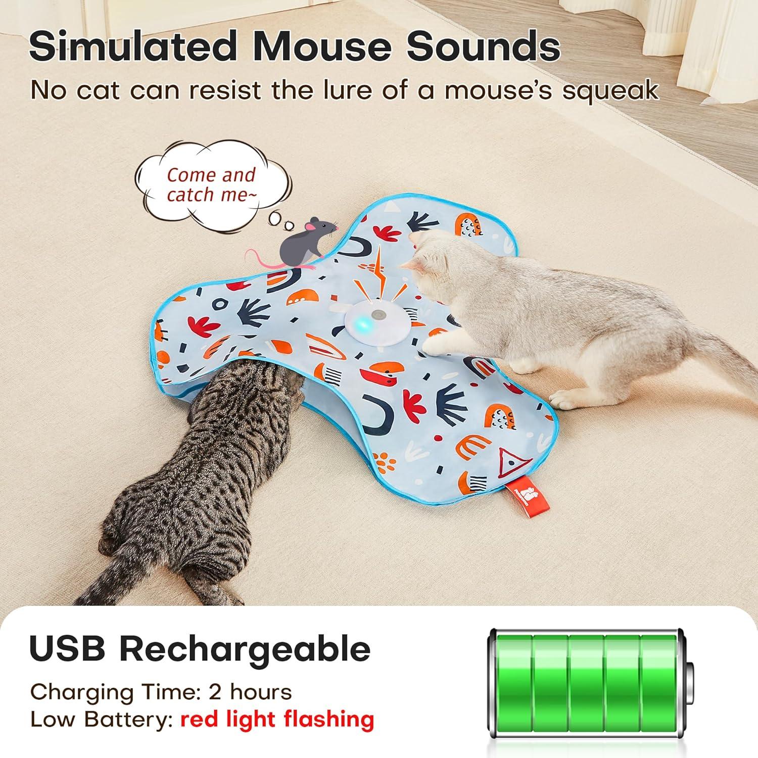 How we Keep Our Cats Active and curious Indoors Every Day