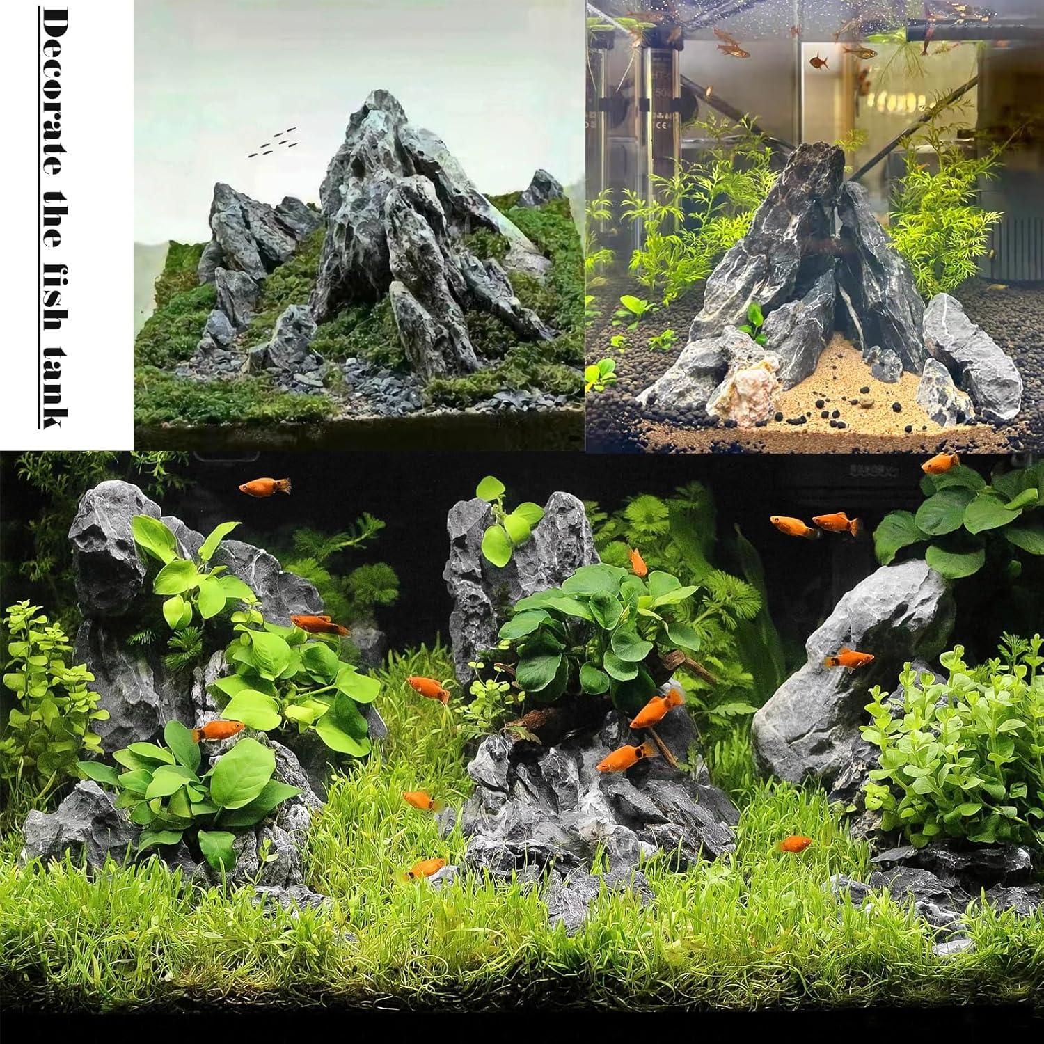 How These Natural Rocks ‌Transformed ⁢Our Aquarium’s Ecosystem